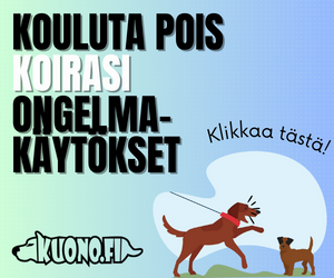 Kouluta koirasi verkkokursseilla!